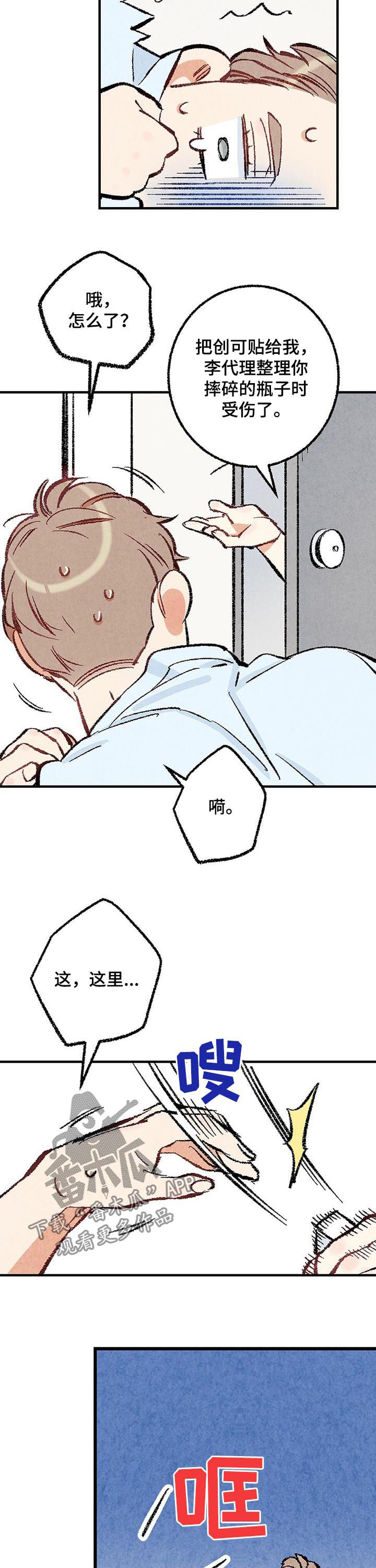 《完美伴侣》第30章偷喝酒 第5页
