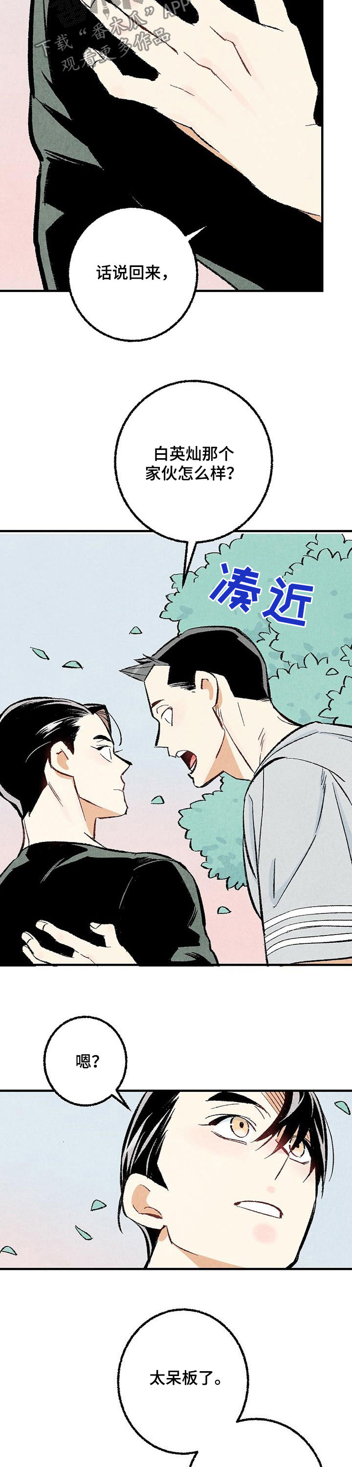 《完美伴侣》第29章你又不是 第3页