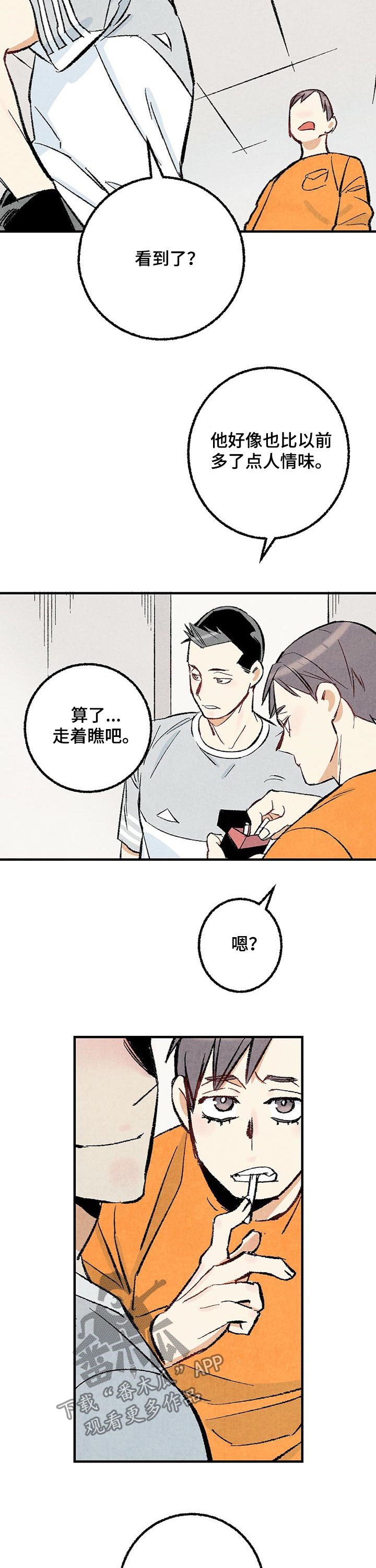 《完美伴侣》第29章你又不是 第8页