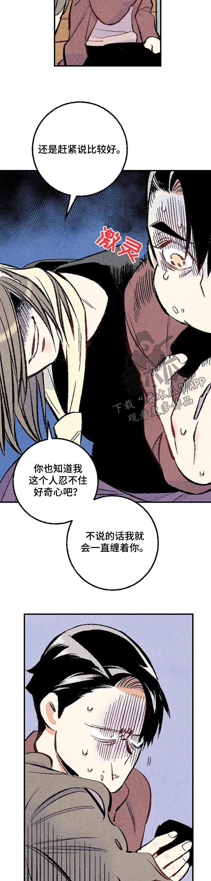 《完美伴侣》第35章好奇心 第6页