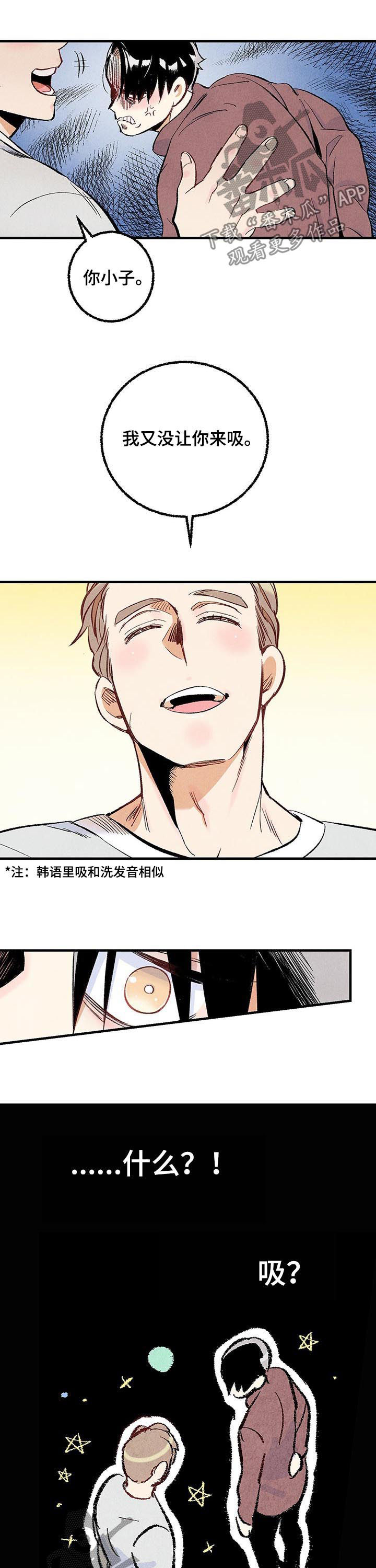 《完美伴侣》第33章他在说什么 第11页