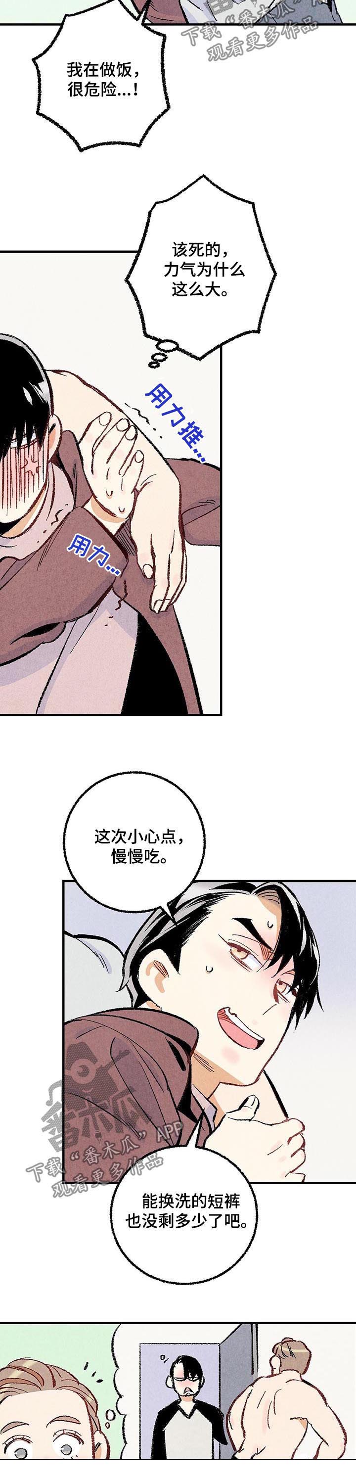 《完美伴侣》第33章他在说什么 第9页