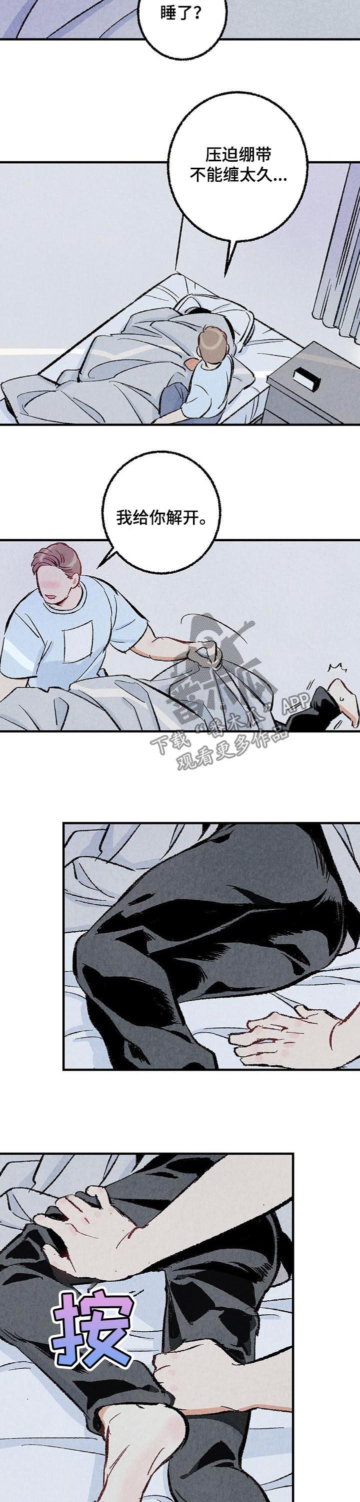 《完美伴侣》第31章都是你的错 第8页