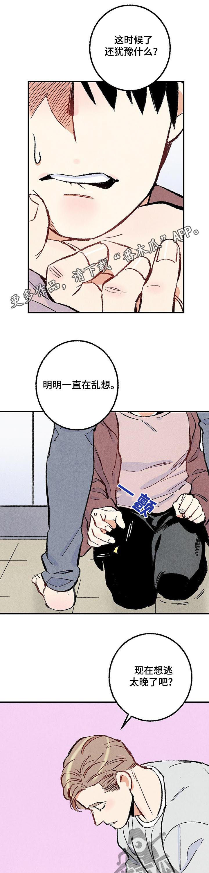 《完美伴侣》第34章净化精神 第1页