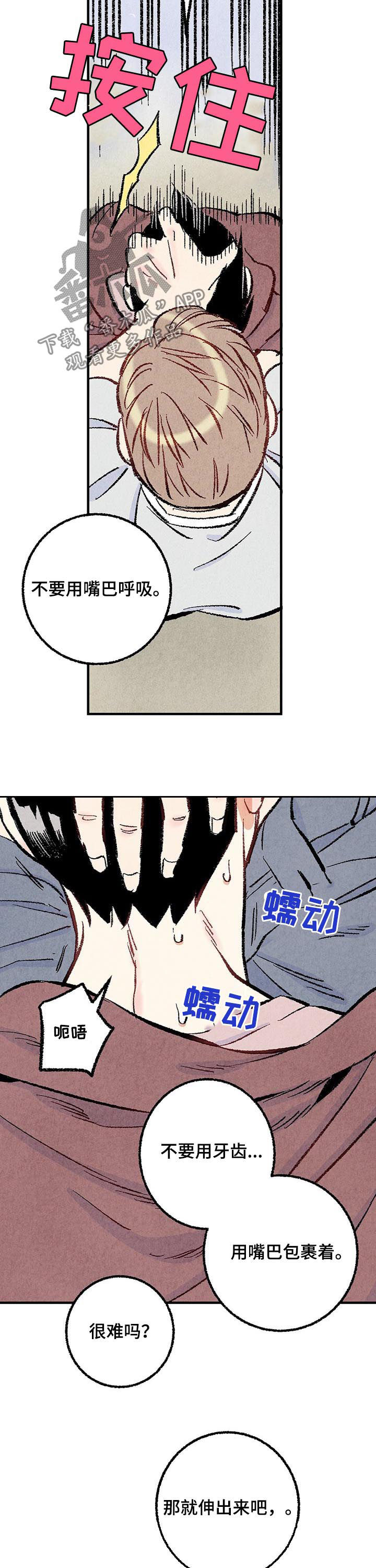 《完美伴侣》第34章净化精神 第3页