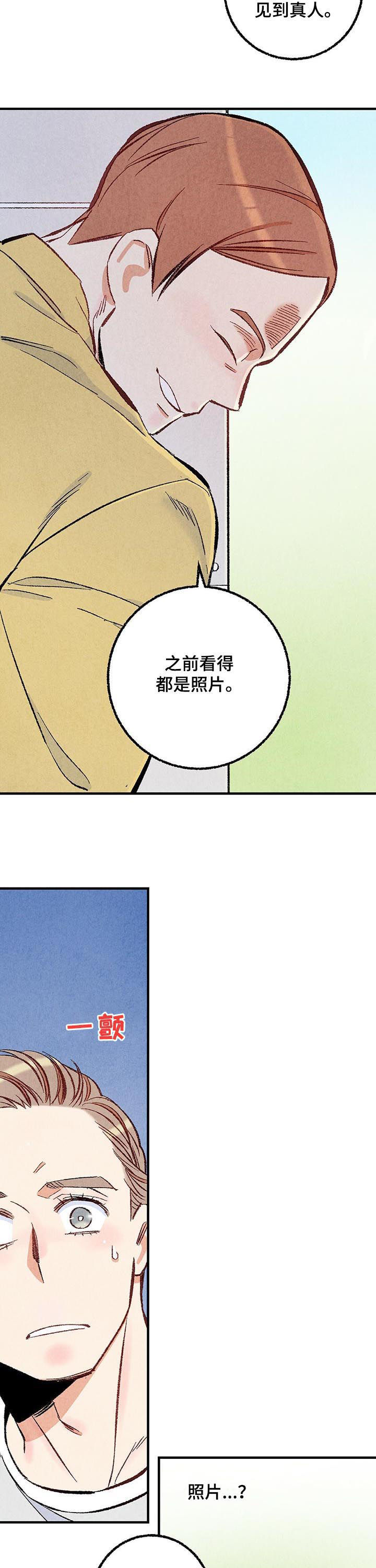 《完美伴侣》第36章美人 第11页