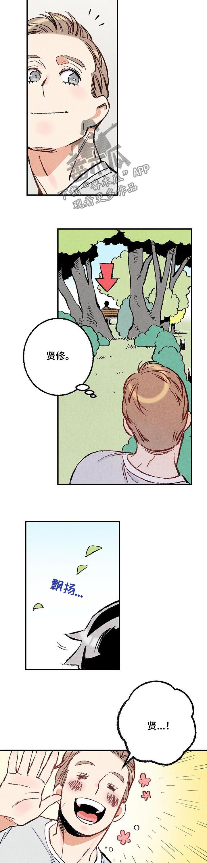 《完美伴侣》第36章美人 第3页