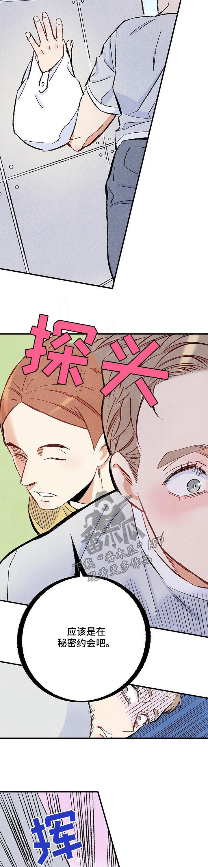 《完美伴侣》第36章美人 第7页