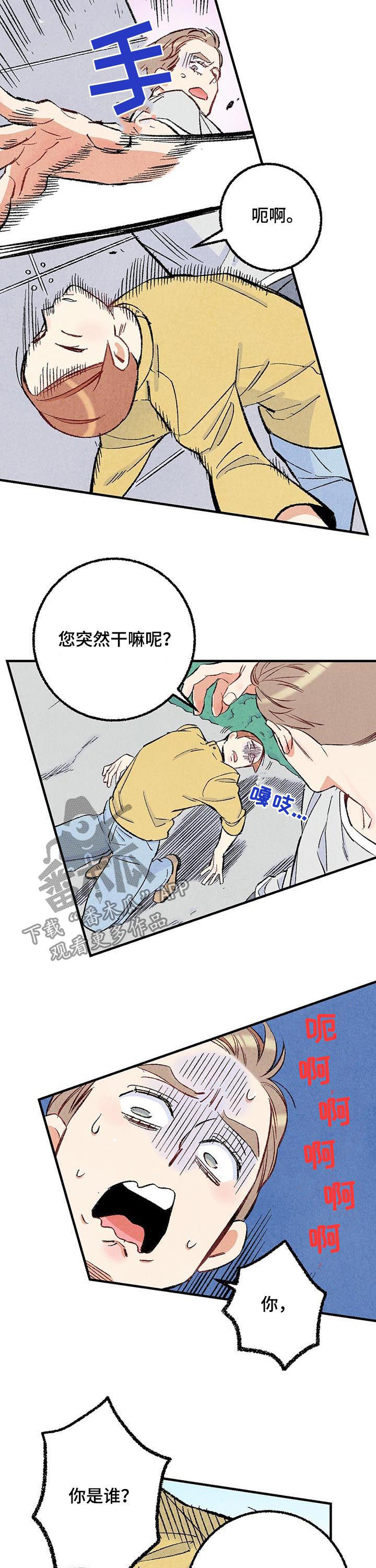 《完美伴侣》第36章美人 第8页