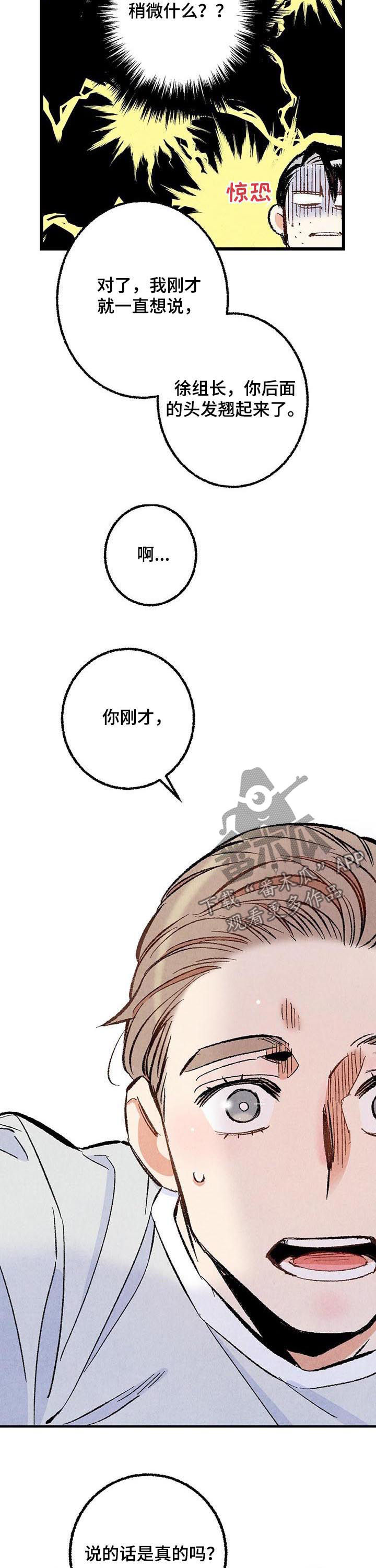 《完美伴侣》第39章容易让人误会 第11页
