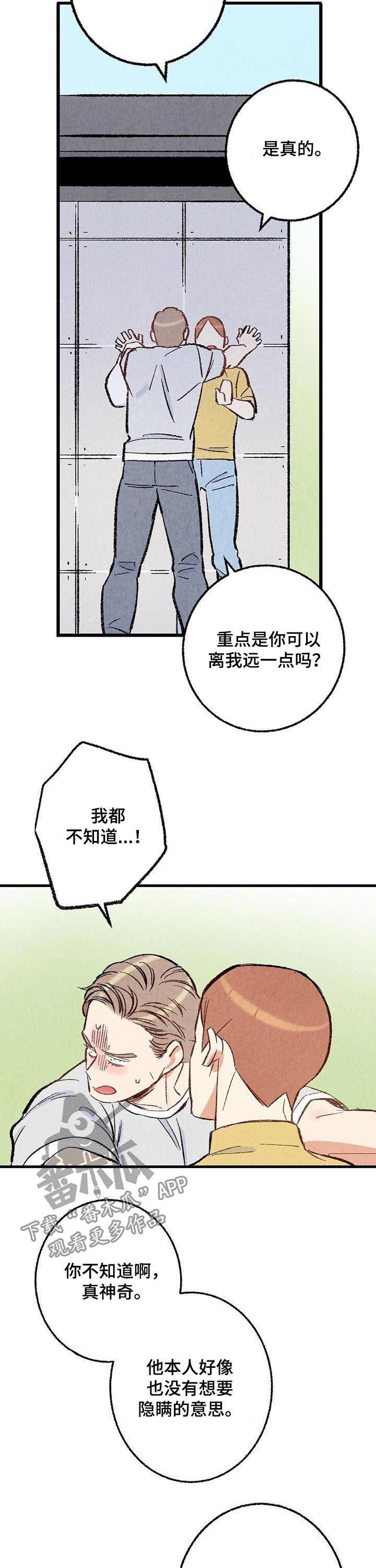 《完美伴侣》第39章容易让人误会 第12页
