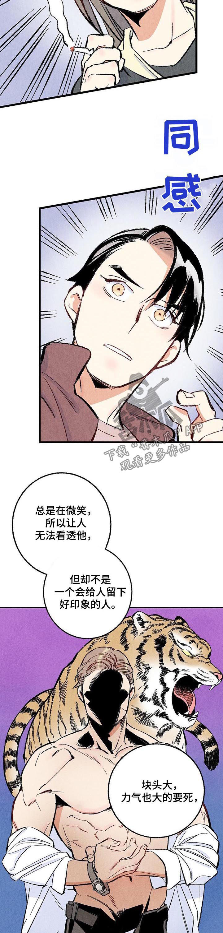 《完美伴侣》第39章容易让人误会 第3页