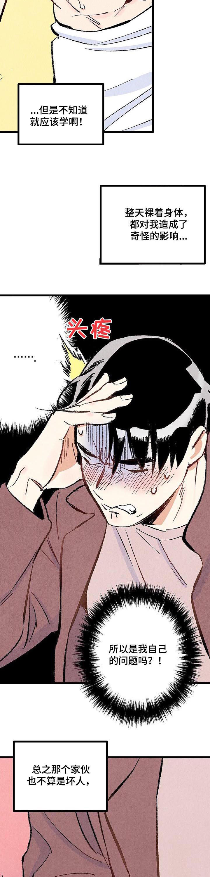 《完美伴侣》第39章容易让人误会 第9页