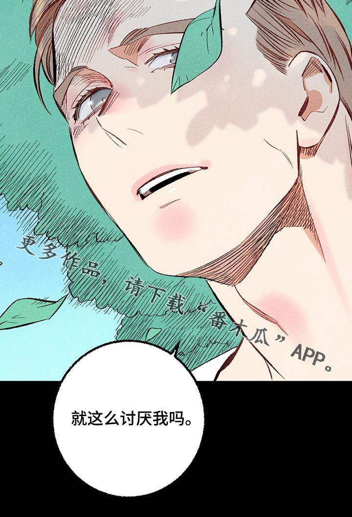 《完美伴侣》第41章你就这么讨厌我吗 第15页