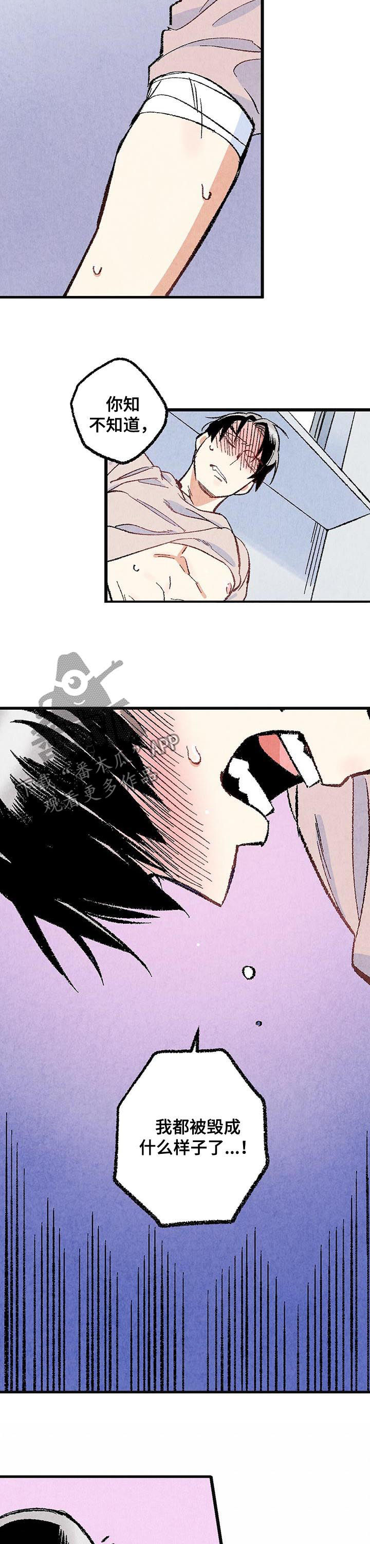 《完美伴侣》第45章是害怕 第4页