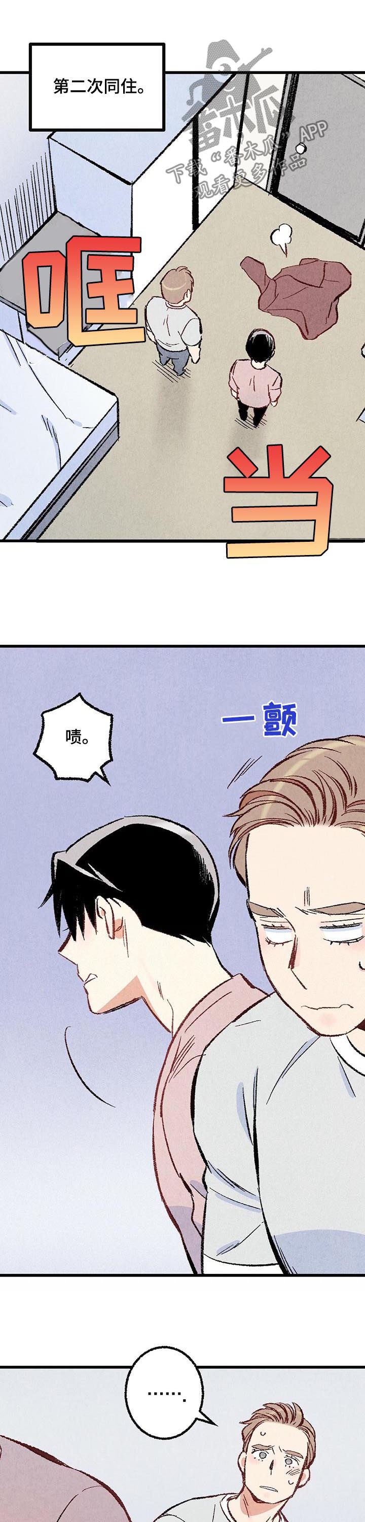 《完美伴侣》第43章真是嚣张 第9页