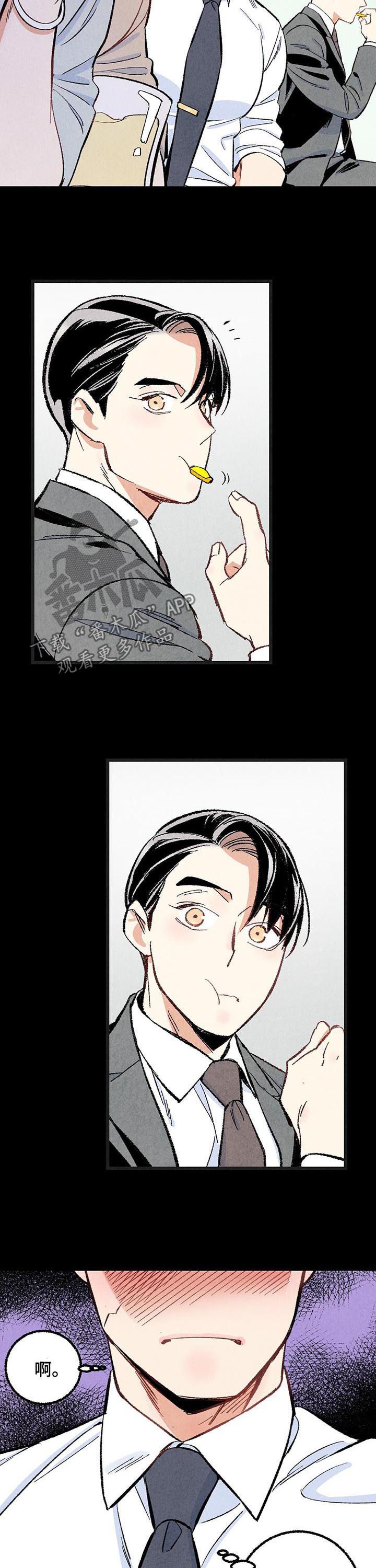 《完美伴侣》第44章你死定了 第10页