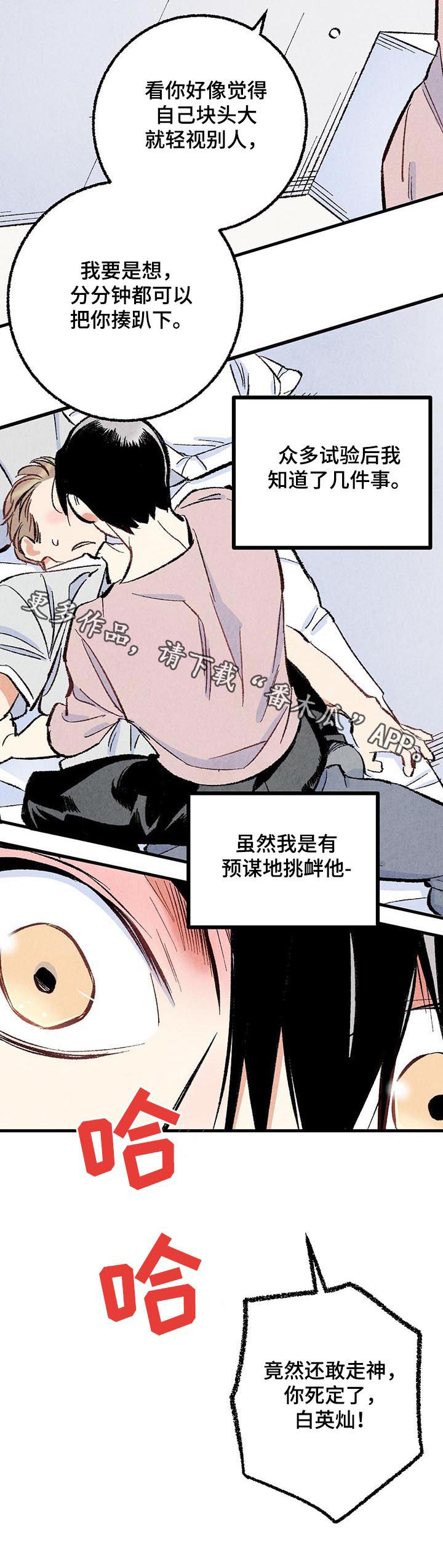 《完美伴侣》第44章你死定了 第12页