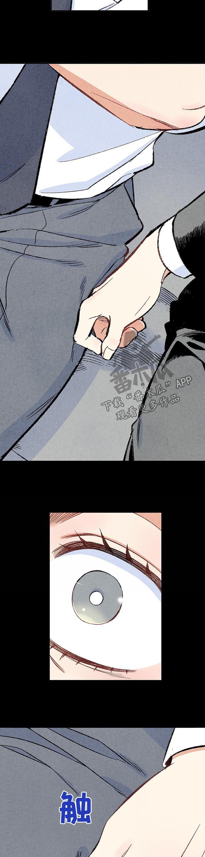 《完美伴侣》第44章你死定了 第4页
