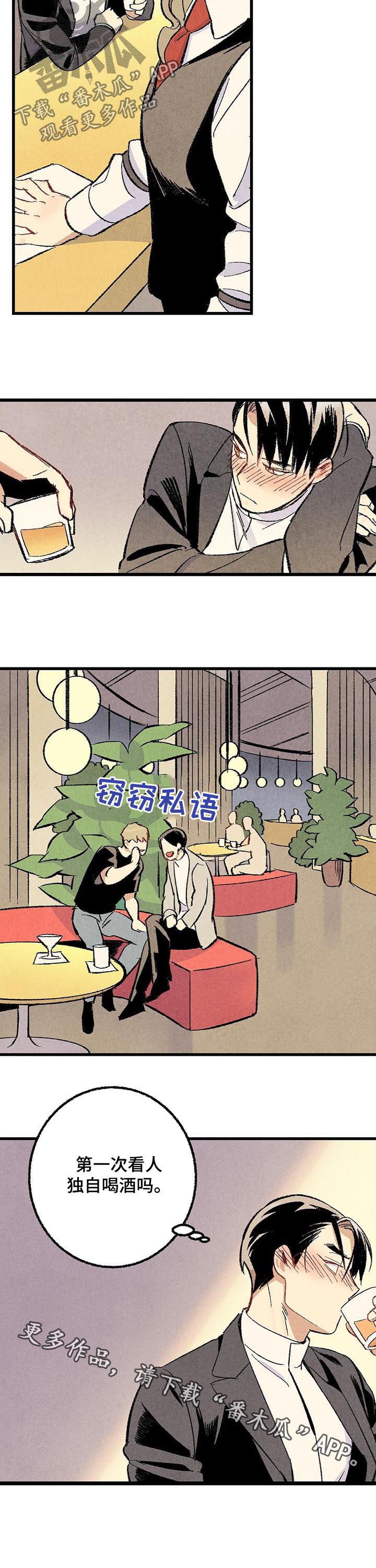 《完美伴侣》第50章酒吧 第11页