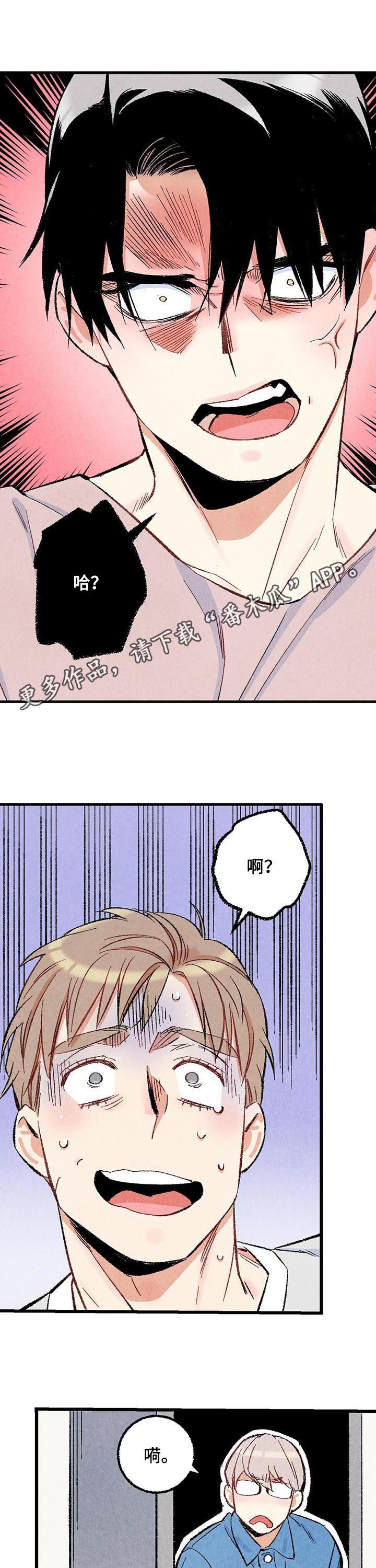 《完美伴侣》第48章主动搭话 第1页