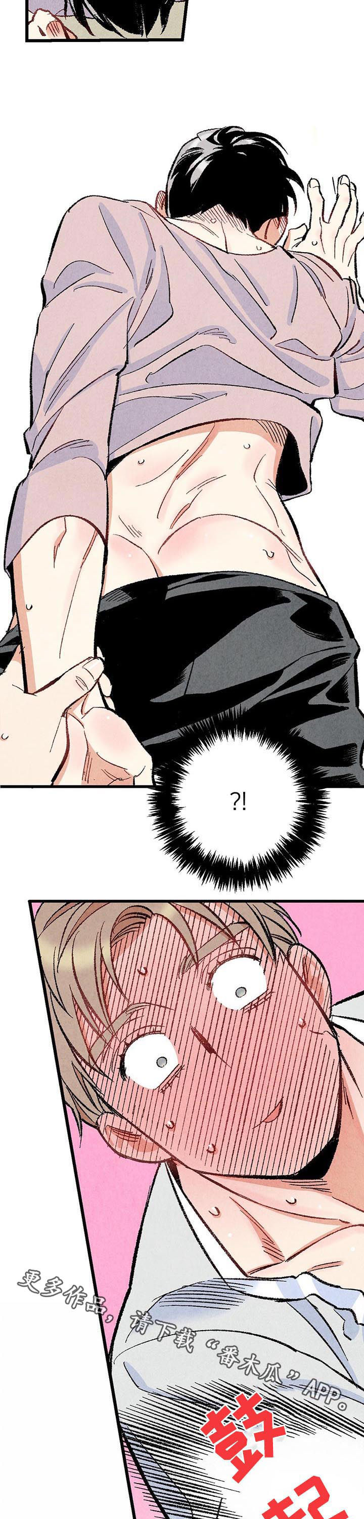 《完美伴侣》第46章较量 第11页