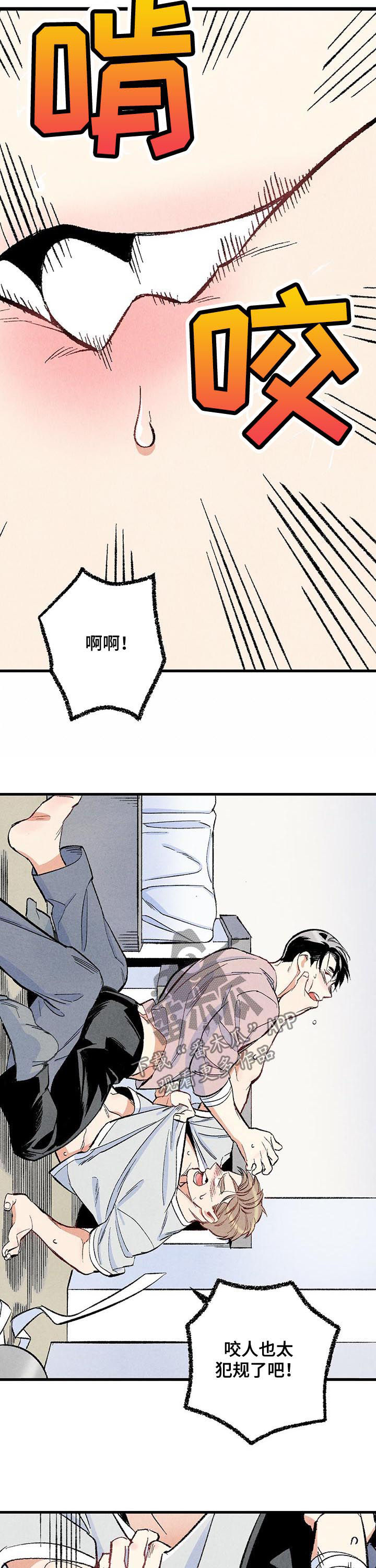 《完美伴侣》第46章较量 第4页