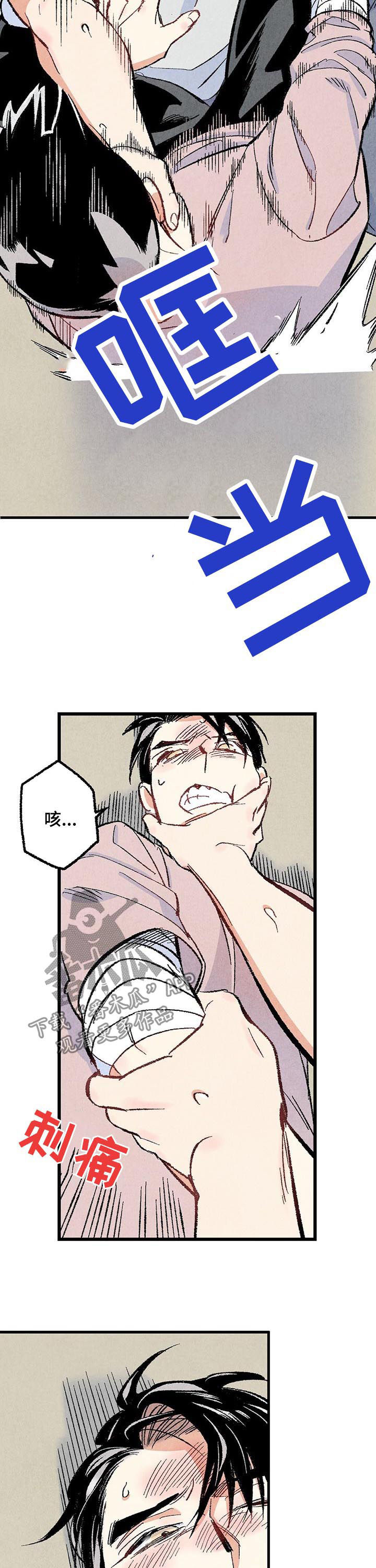 《完美伴侣》第46章较量 第5页
