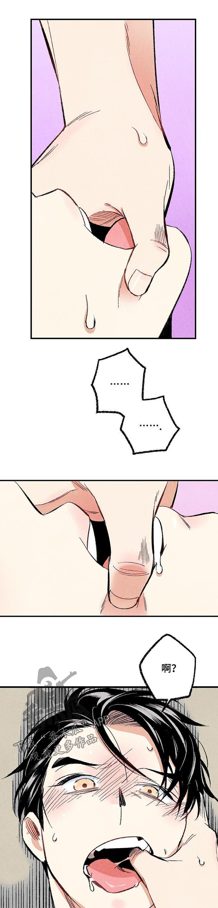 《完美伴侣》第46章较量 第7页