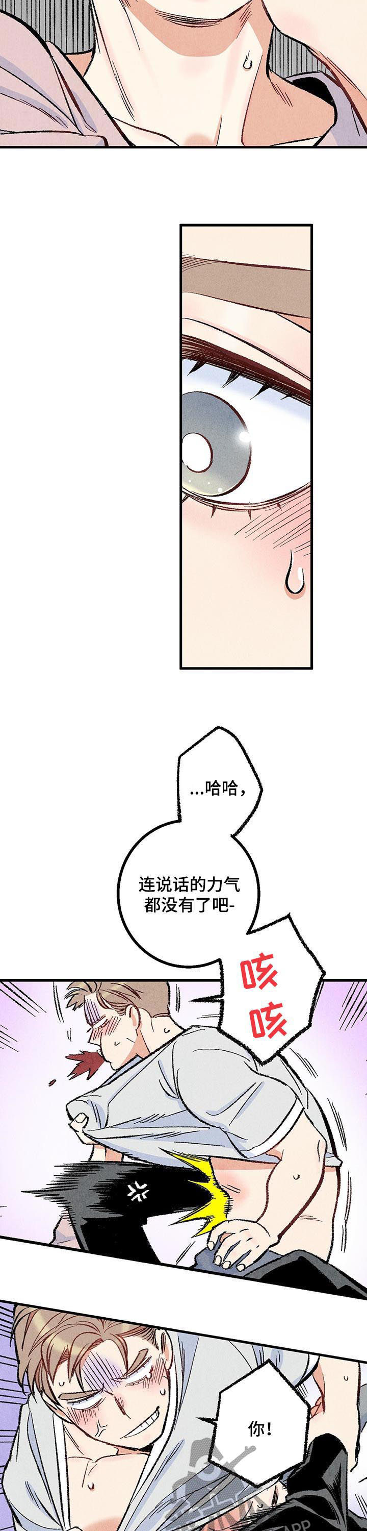 《完美伴侣》第46章较量 第8页