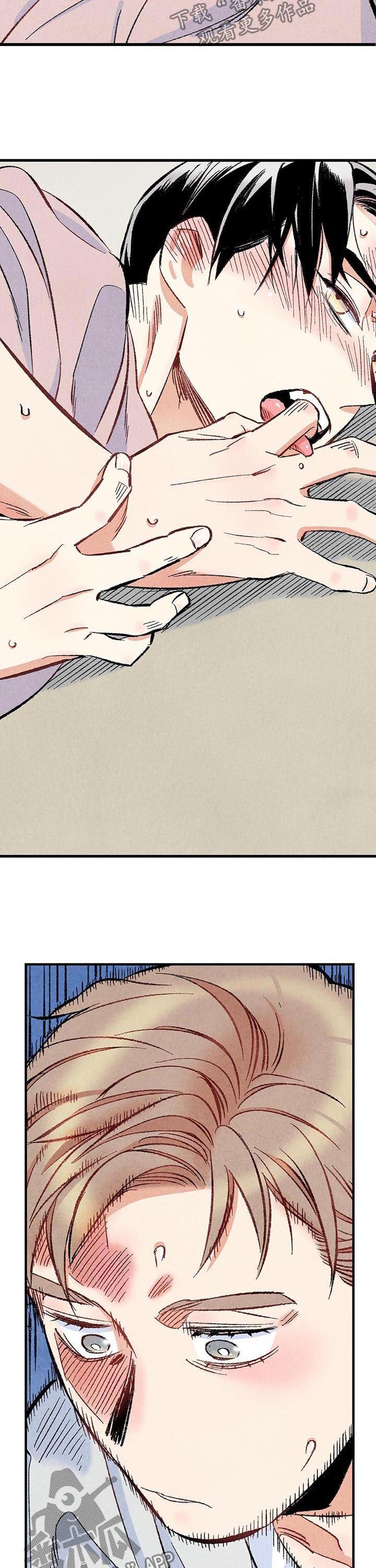 《完美伴侣》第47章就地正法 第2页