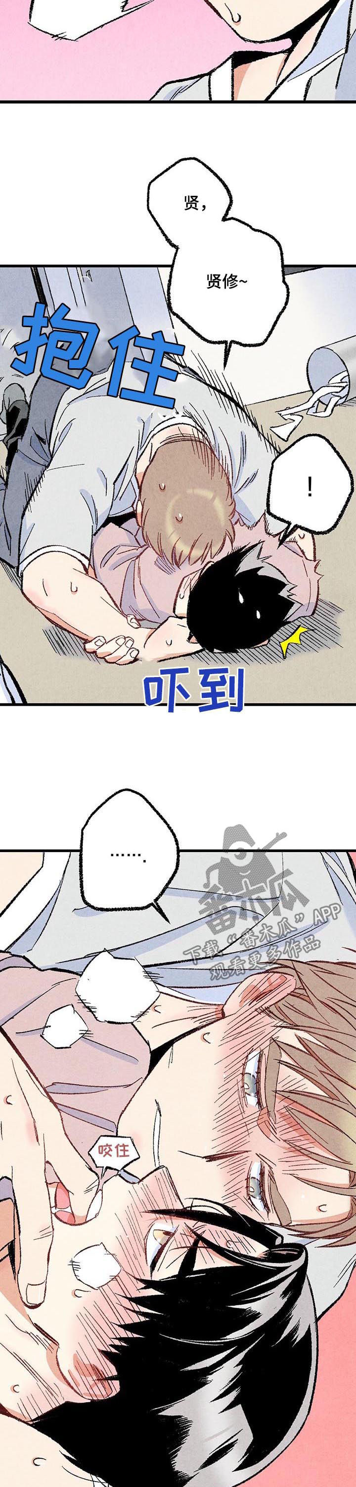 《完美伴侣》第47章就地正法 第5页