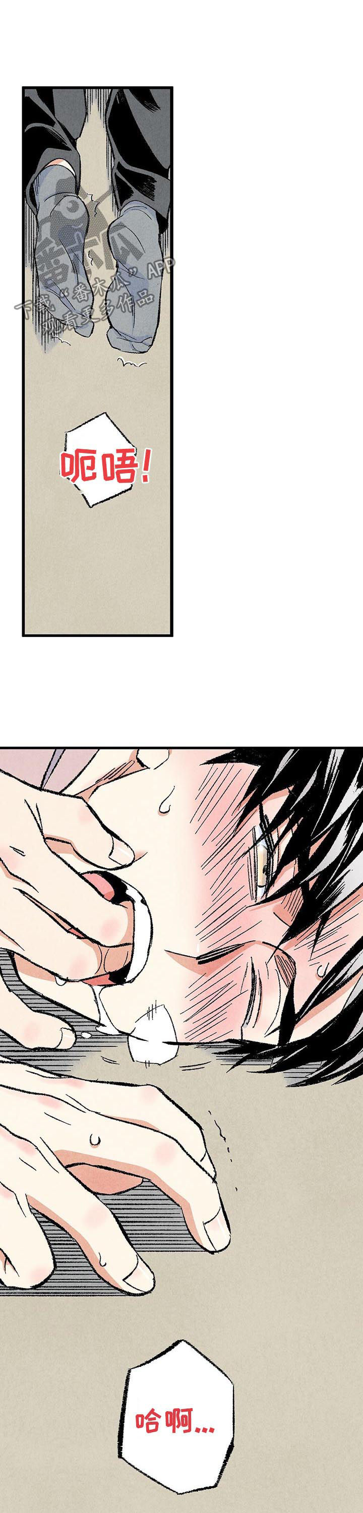 《完美伴侣》第47章就地正法 第7页