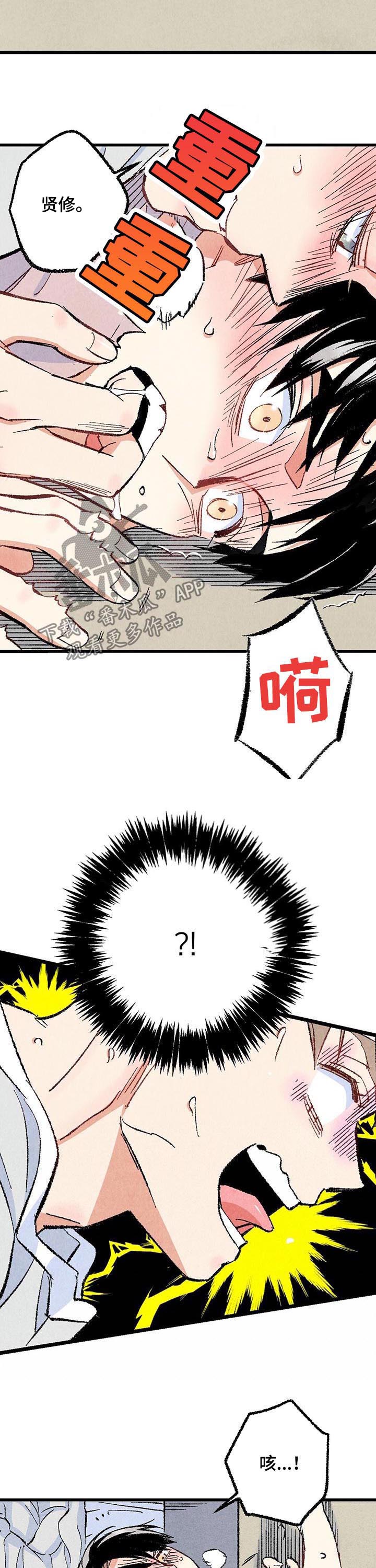 《完美伴侣》第47章就地正法 第8页