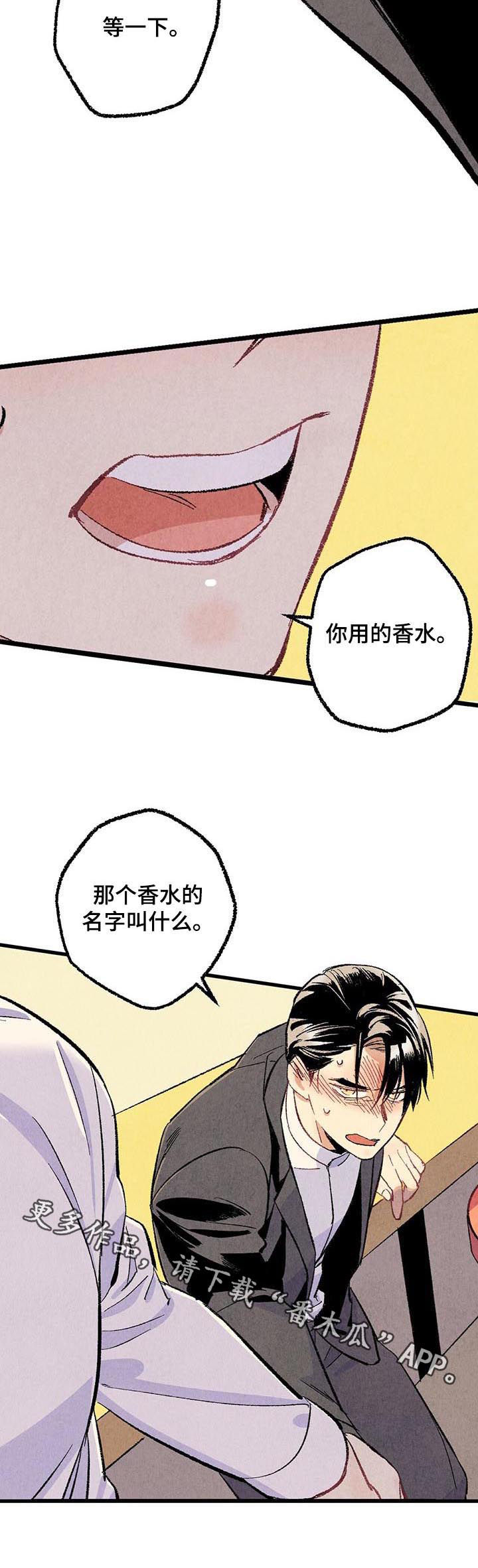 《完美伴侣》第53章香水 第13页