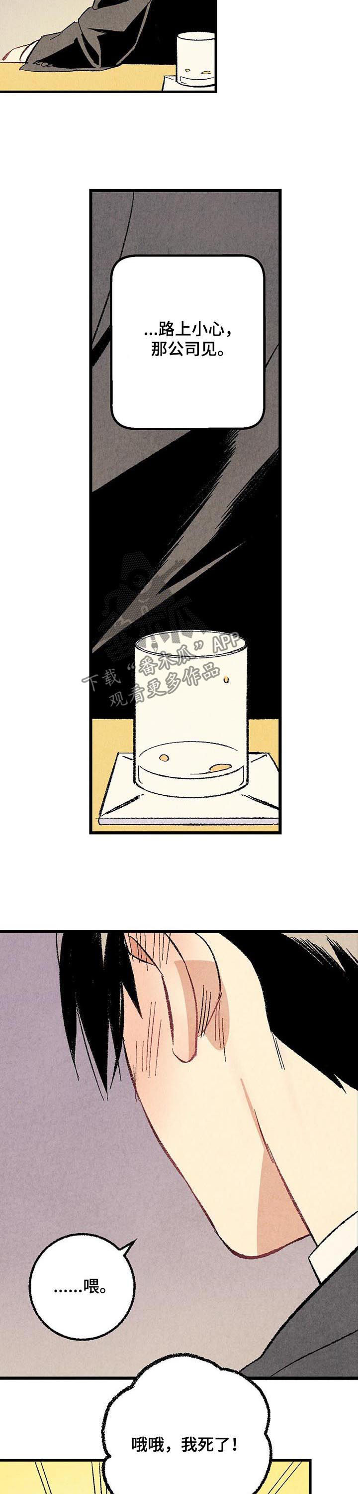 《完美伴侣》第53章香水 第2页