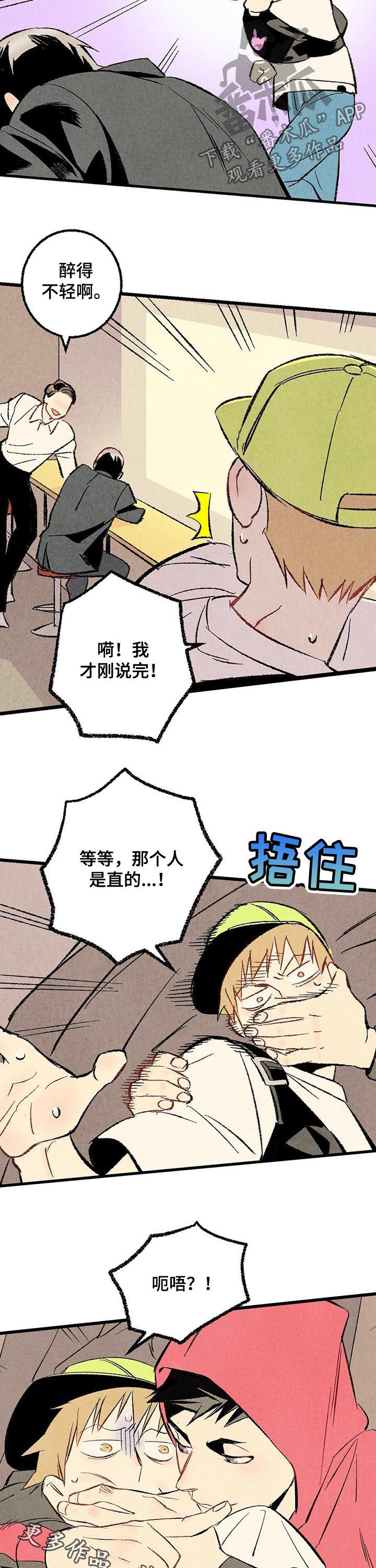 《完美伴侣》第51章他是直的！ 第11页