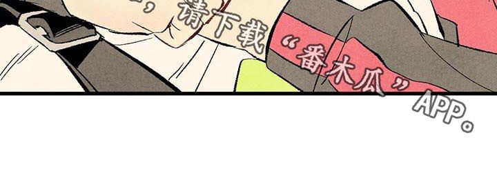 《完美伴侣》第51章他是直的！ 第12页