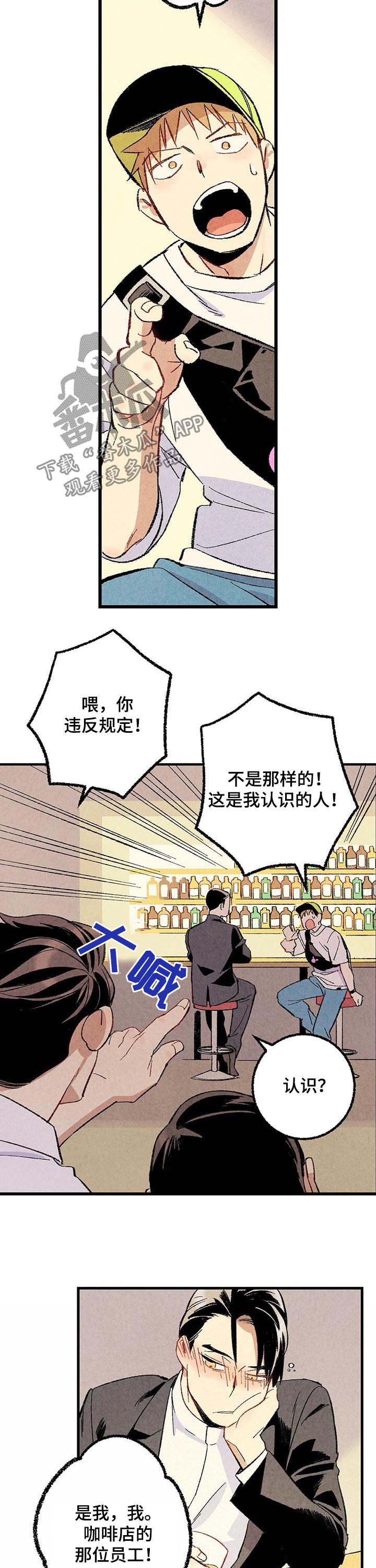 《完美伴侣》第51章他是直的！ 第5页