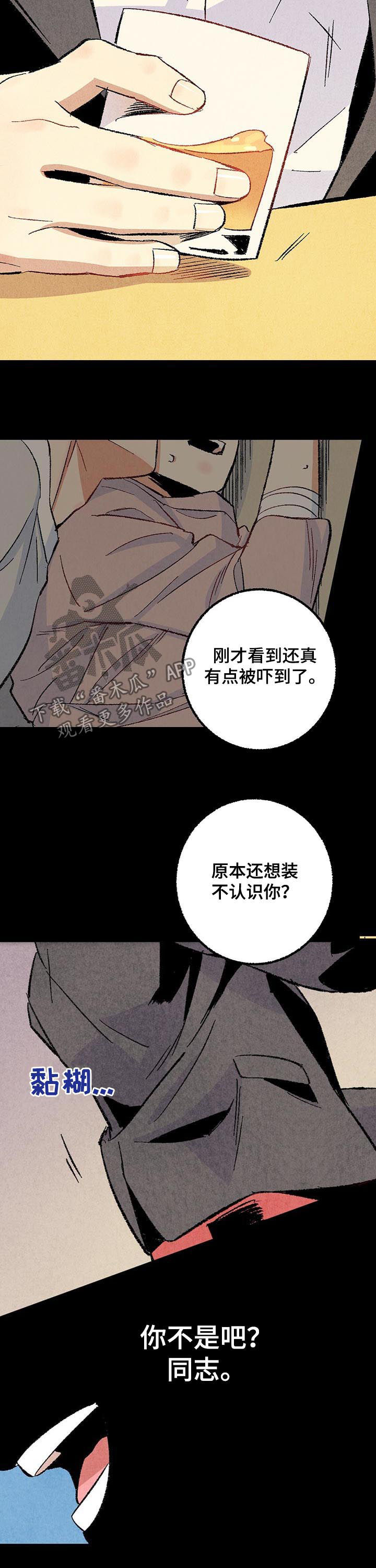 《完美伴侣》第51章他是直的！ 第7页