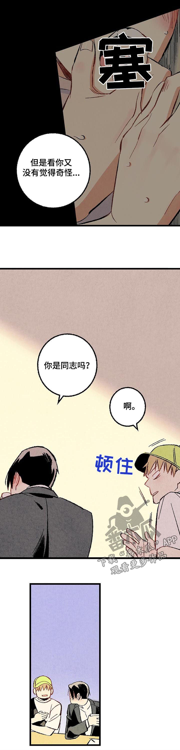 《完美伴侣》第51章他是直的！ 第8页