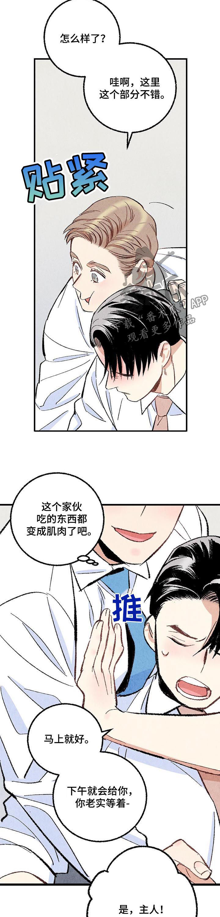 《完美伴侣》第54章吐出来 第11页