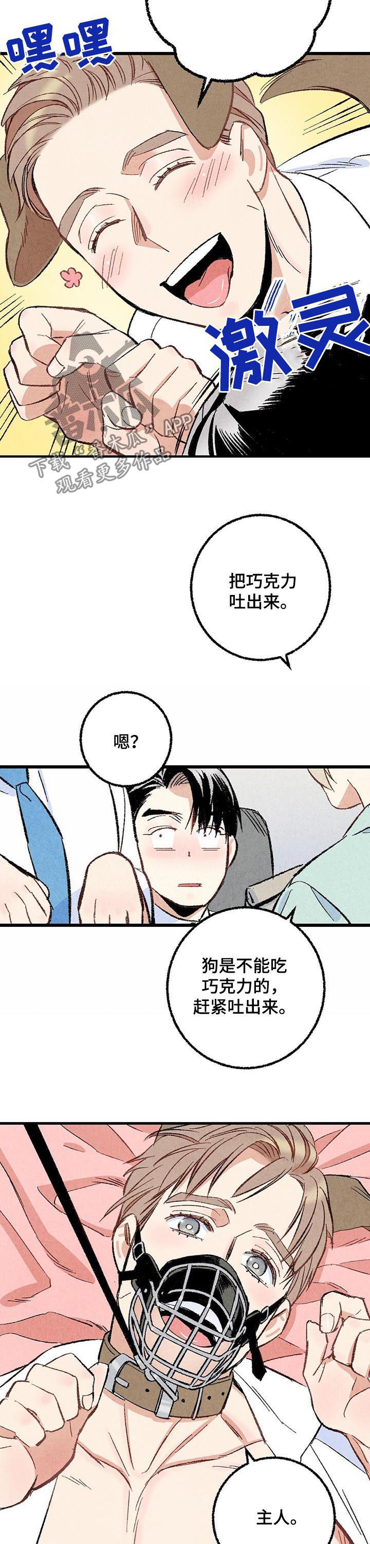 《完美伴侣》第54章吐出来 第12页