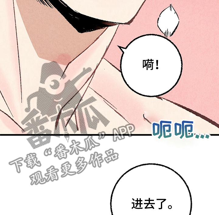 《完美伴侣》第57章小耗子 第14页