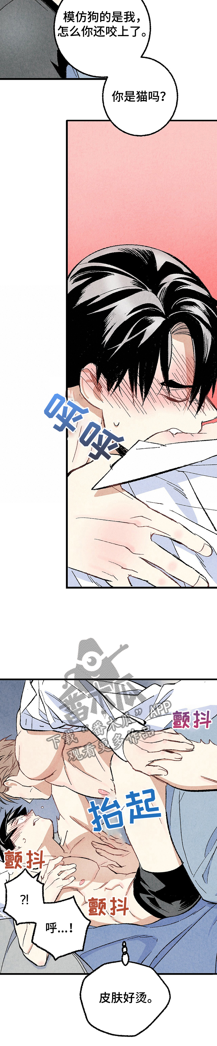 《完美伴侣》第56章带走 第10页