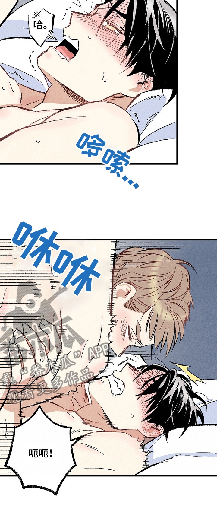《完美伴侣》第58章强壮的身体 第10页