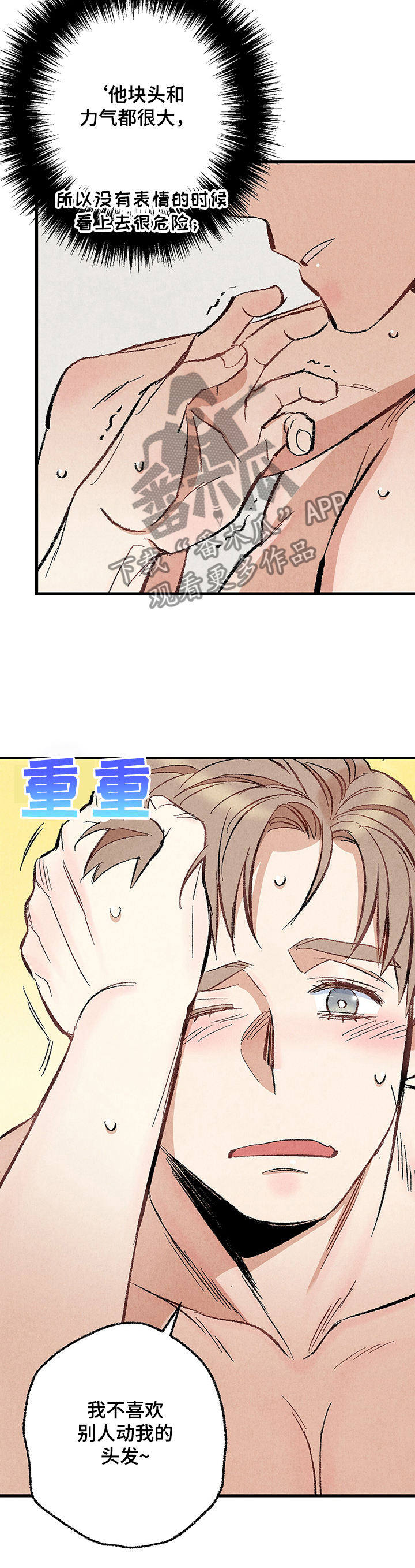 《完美伴侣》第58章强壮的身体 第4页