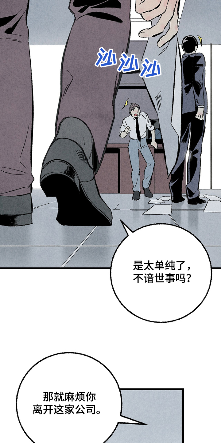 《完美伴侣》第60章【第二季】兵与王 第15页