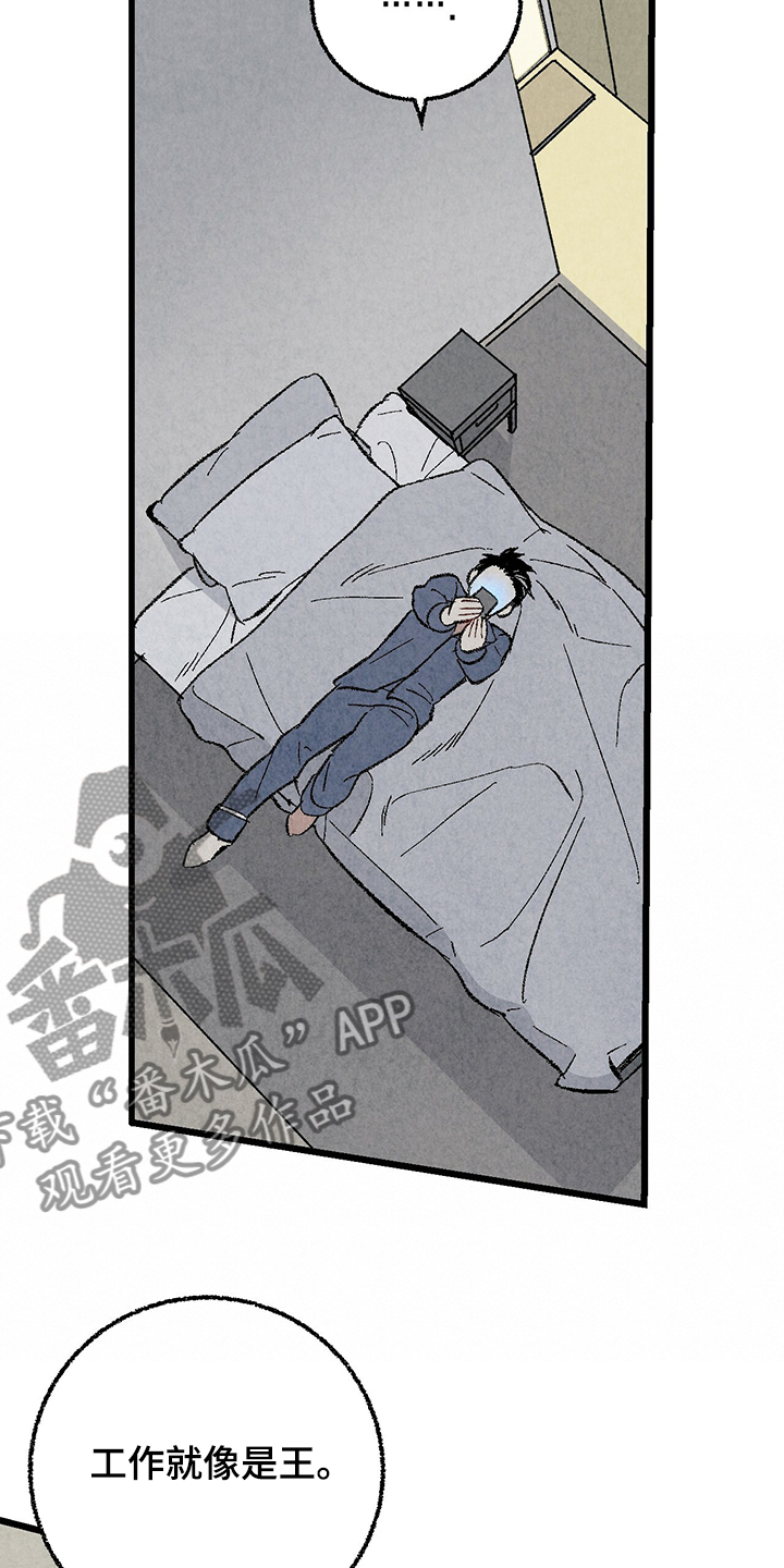 《完美伴侣》第60章【第二季】兵与王 第8页