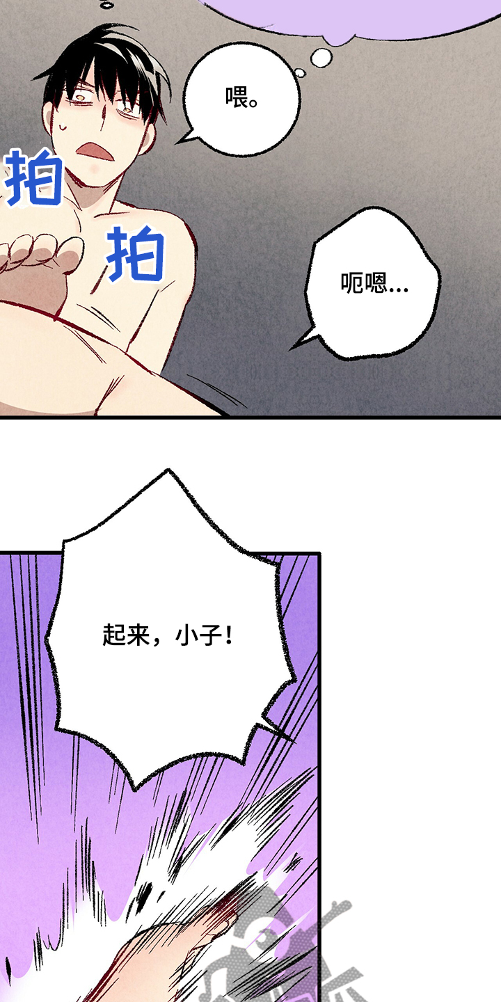 《完美伴侣》第61章【第二季】我真的跟他 第11页
